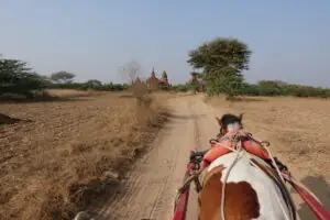 Sonnenuntergänge in Bagan – Foto 21 von 66