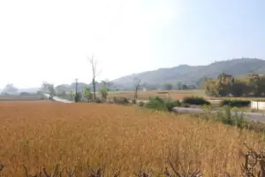 2 Tage Trekking-Tour zum Inle-Lake – Foto 2 von 40