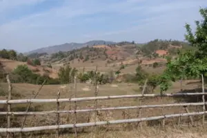 2 Tage Trekking-Tour zum Inle-Lake – Foto 10 von 40