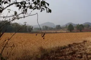 2 Tage Trekking-Tour zum Inle-Lake – Foto 16 von 40