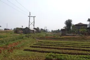 2 Tage Trekking-Tour zum Inle-Lake – Foto 23 von 40