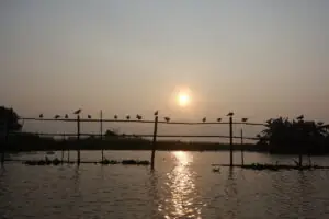 Am und auf dem Inle Lake – Foto 7 von 33