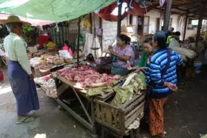 Am und auf dem Inle Lake – Foto 24 von 33