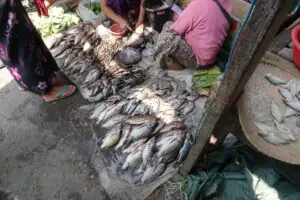 Am und auf dem Inle Lake – Foto 28 von 33