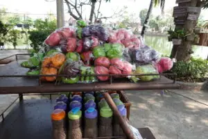 Sukhothai (Watn datt fürn Wat?) – Foto 13 von 27