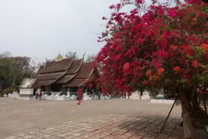 Luang Prabang – Foto 6 von 38