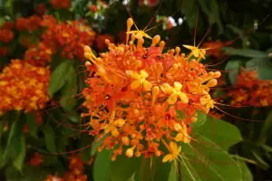 Luang Prabang – Foto 13 von 38