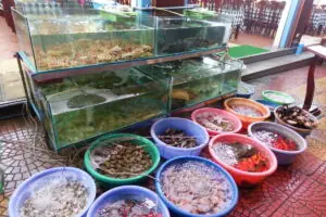 Cat Ba Island – Foto 5 von 46