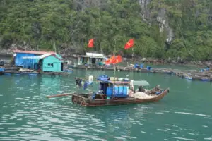 Cat Ba Island – Foto 8 von 46