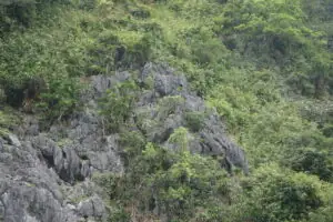 Cat Ba Island – Foto 20 von 46