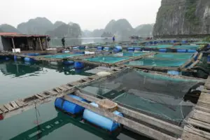 Cat Ba Island – Foto 23 von 46