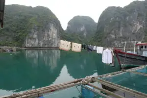 Cat Ba Island – Foto 24 von 46