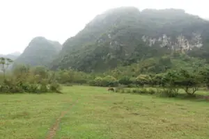 Cat Ba Island – Foto 38 von 46