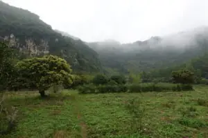 Cat Ba Island – Foto 39 von 46