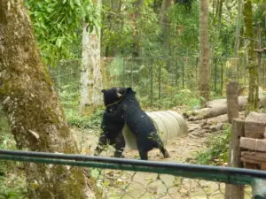 Luang Prabang – Foto 33 von 38