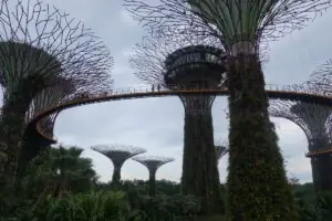 Singapur – Foto 21 von 42