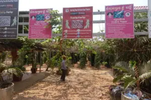 Kampot – Wo der Pfeffer wächst – Foto 8 von 39