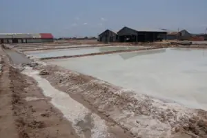 Kampot – Wo der Pfeffer wächst – Foto 12 von 39