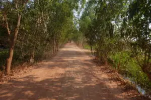 Kampot – Wo der Pfeffer wächst – Foto 18 von 39