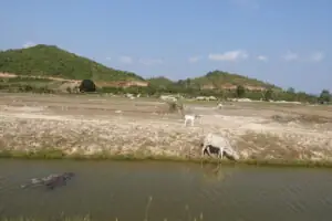 Kampot – Wo der Pfeffer wächst – Foto 19 von 39