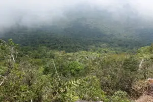 Kampot – Wo der Pfeffer wächst – Foto 34 von 39