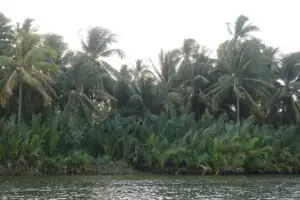 Kampot – Wo der Pfeffer wächst – Foto 36 von 39